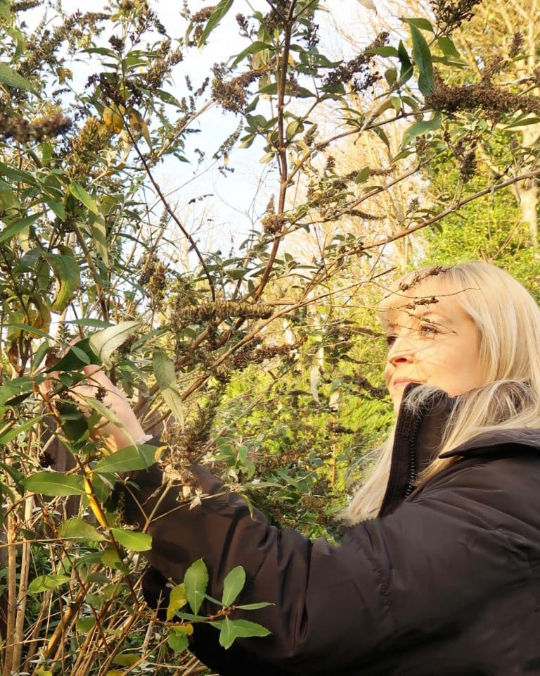 Claire Douglas foraging for flowers and foliage for home styling