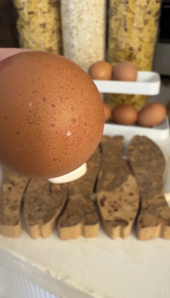 Amazon kitchen find - egg pricker