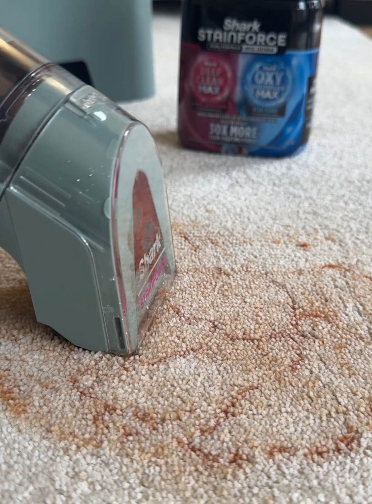 shark stainforce review