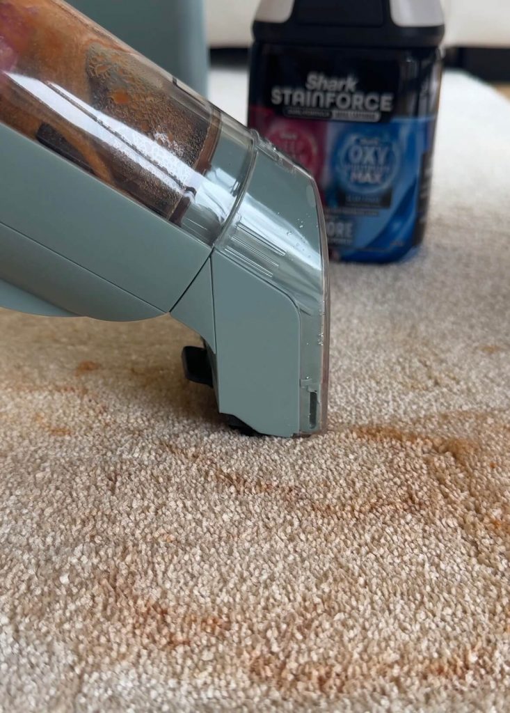 shark stainforce review
