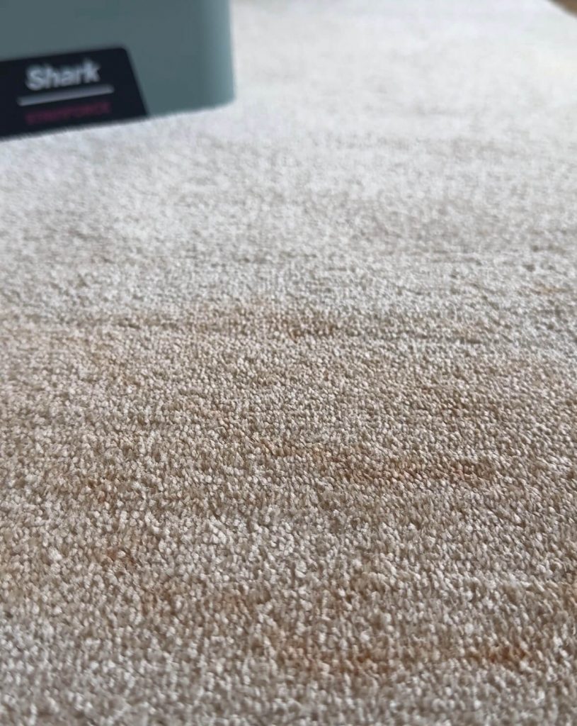 shark stainforce review
