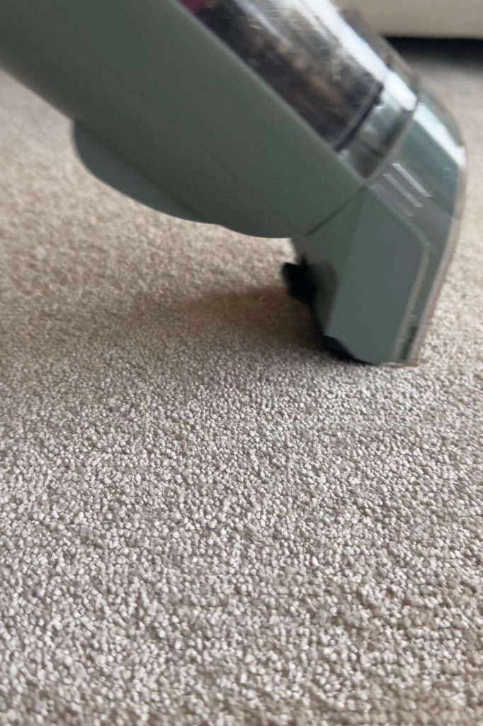 shark stainforce review