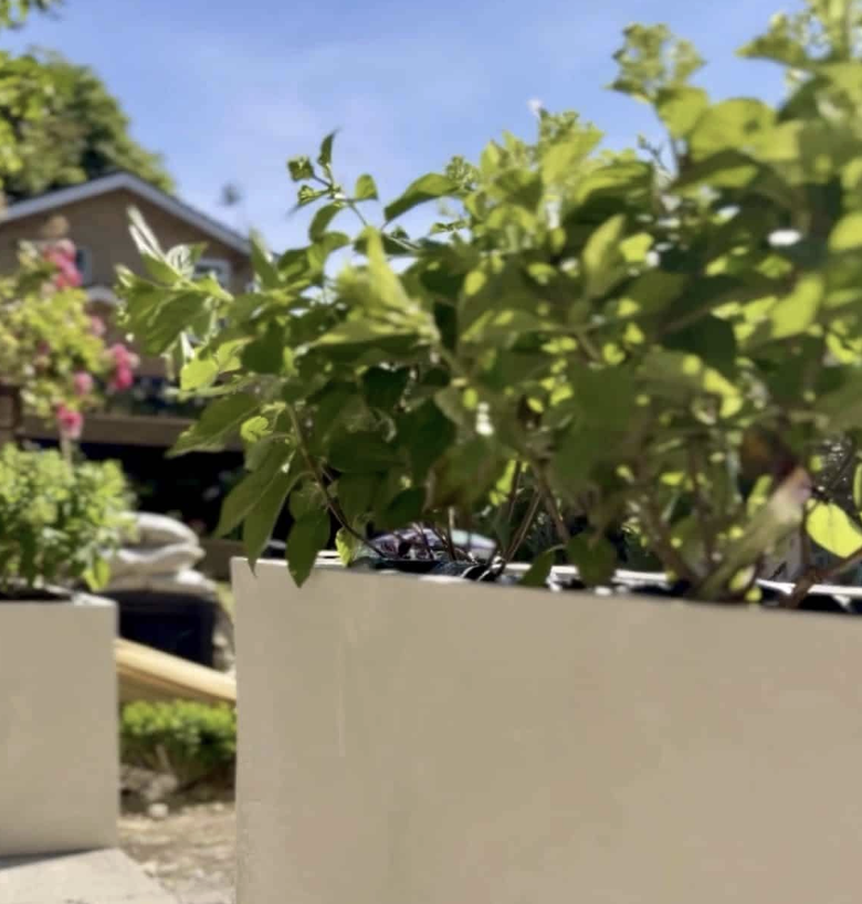 diy projects on a budget - microcement planters