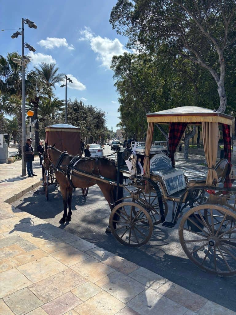 malta on a budget