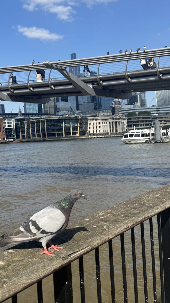 millenium bridge