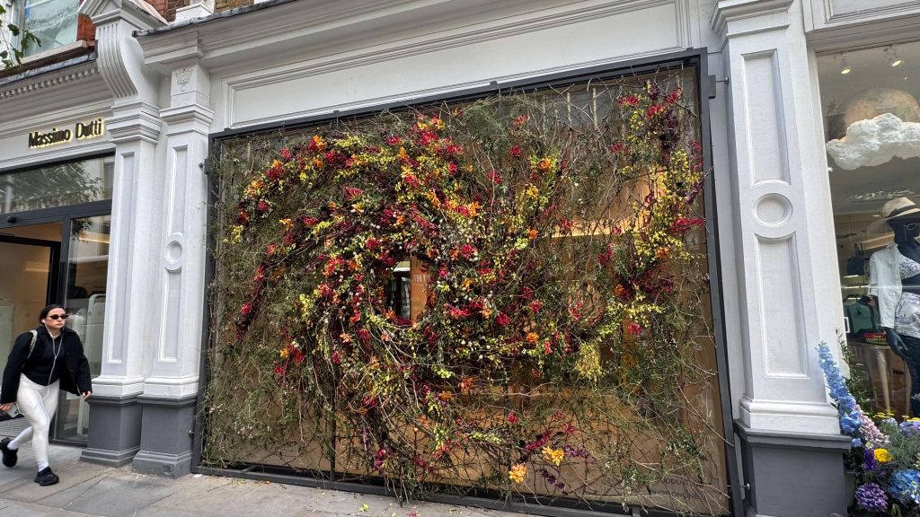 Chelsea in Bloom 2026 review - London’s fantastic free flower festival 