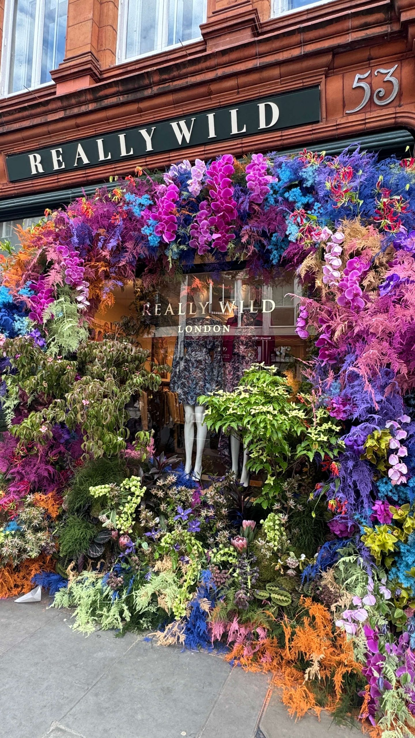 chelsea in bloom 2026