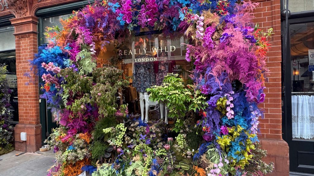 Chelsea in Bloom 2026 review - London’s fantastic free flower festival 