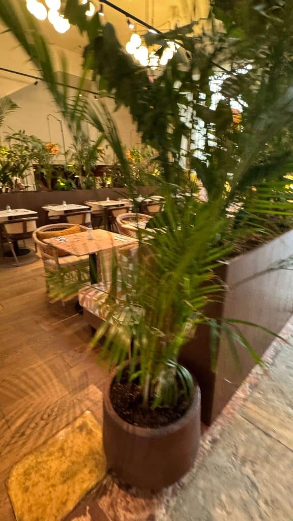 locke de santa joana lisbon hotel review