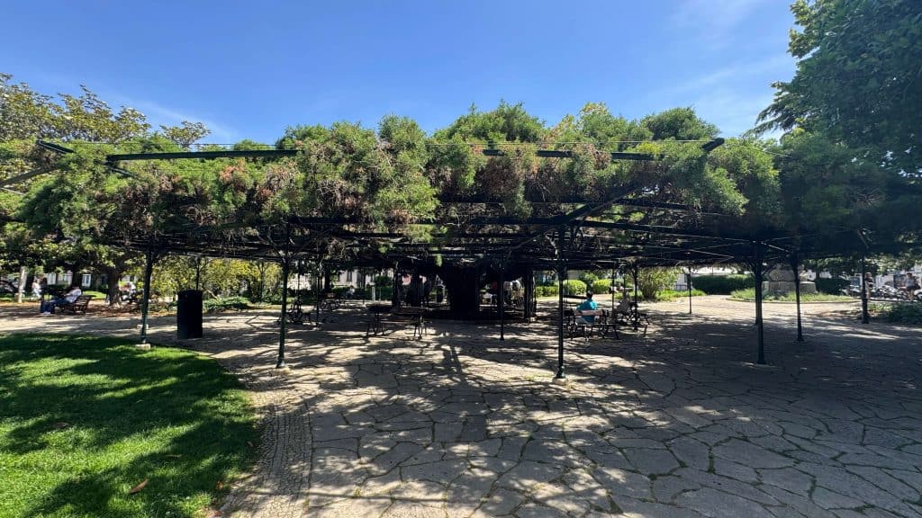 park close to the hotel