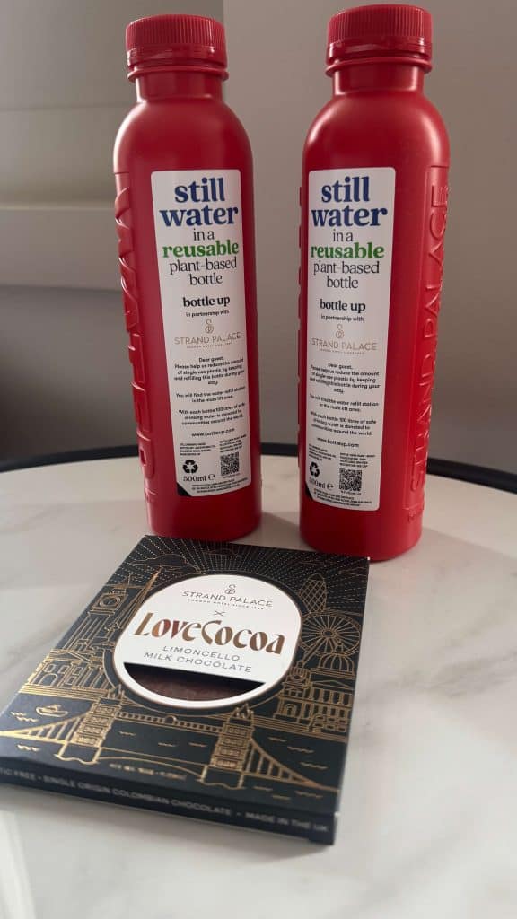 strand palace hotel london review
