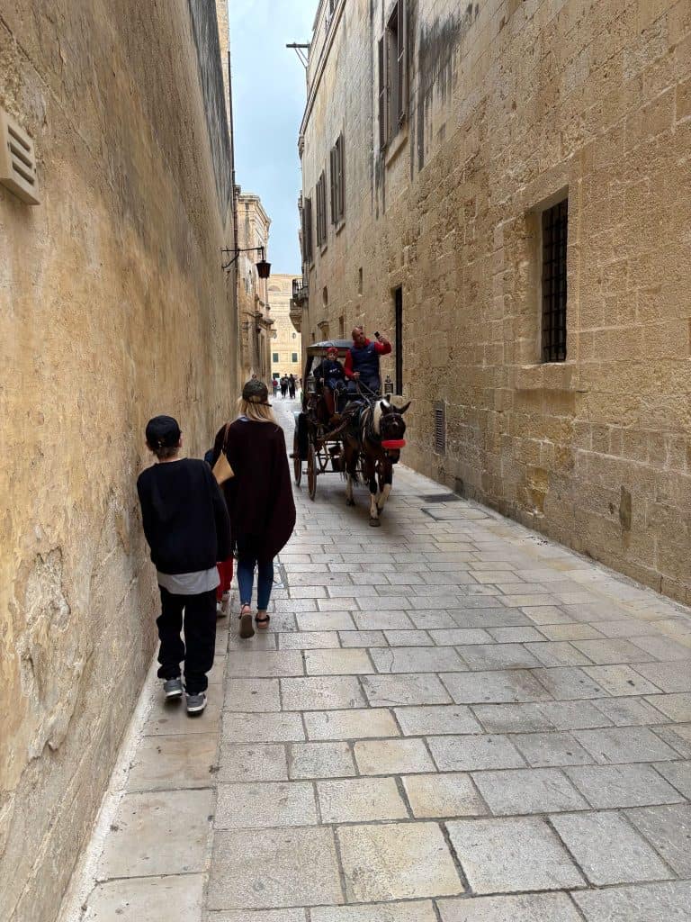 Mdina Horse And Cart