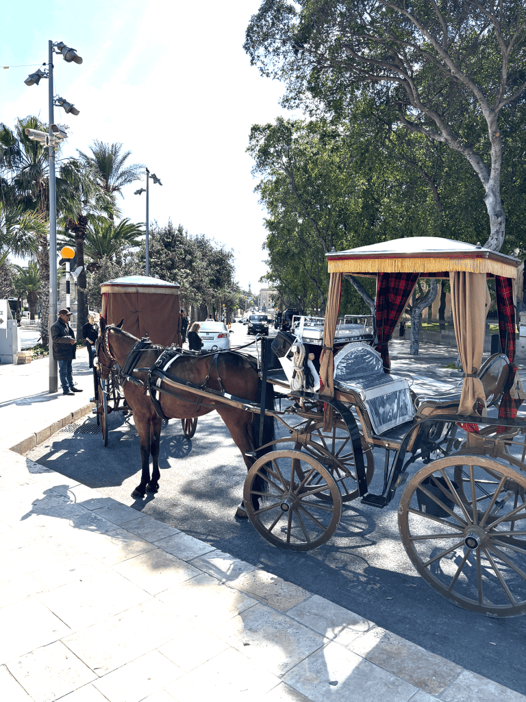 Valletta Horse & Cart