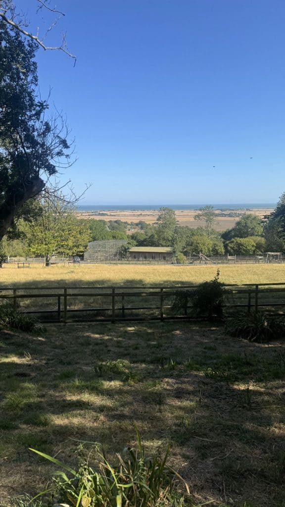 Port lympne treehouse review
