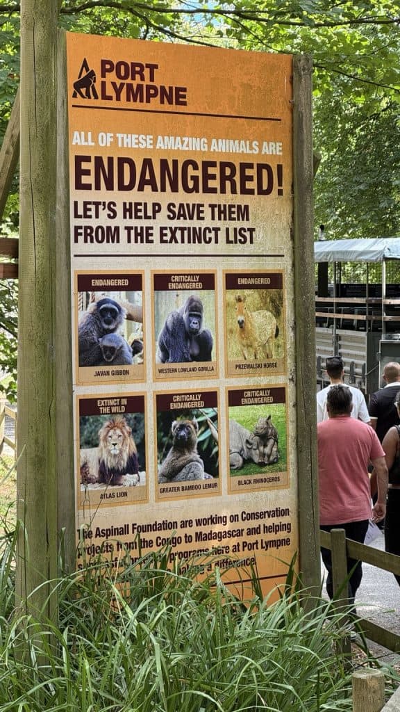 Port lympne treehouse review